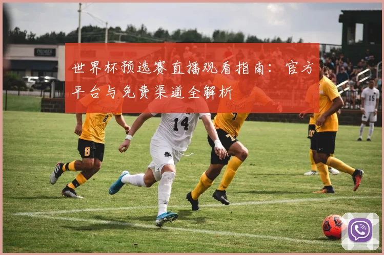 世界杯预选赛直播观看指南：官方平台与免费渠道全解析